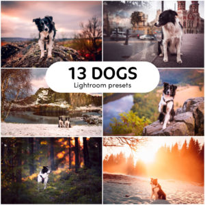 13 DOGS Lightroom presets - Radek Vandra Photography